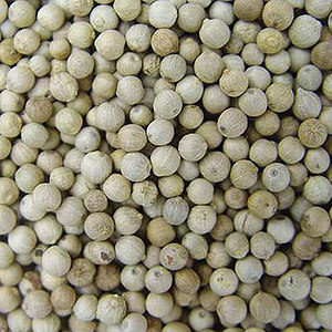 White pepper White pepper