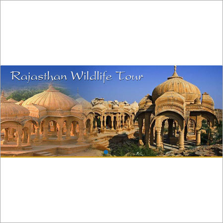 Rajasthan Wildlife Tour Services Rajasthan Wildlife Tour Services