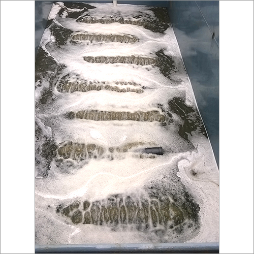 Effluent Waste Water Treatment Plant Effluent Waste Water Treatment Plant
