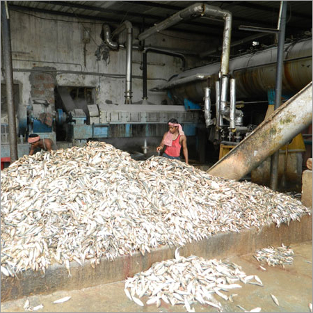 Fish Meal Oil Machinery Fish Meal Oil Machinery