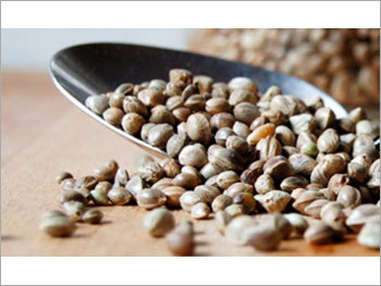 Vegetable Seeds Vegetable Seeds