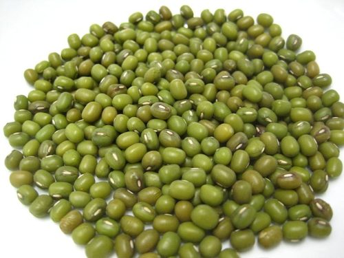 Mung Bean Mung Bean