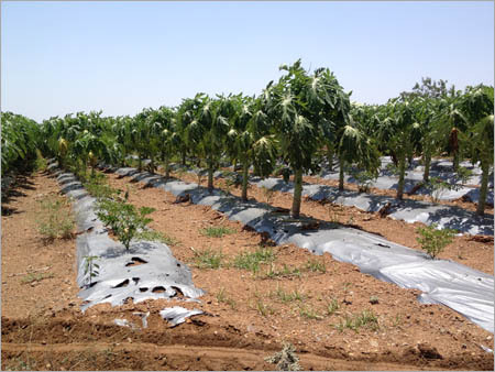 Agro Shade Nets Agro Shade Nets