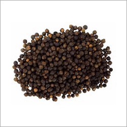 Black Pepper Black Pepper