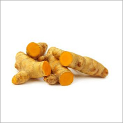 Fresh Turmeric Fresh Turmeric