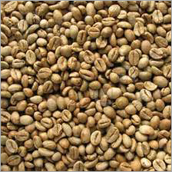 Fresh Coffee Bean Fresh Coffee Bean