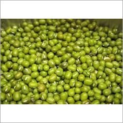 Green Mung Bean Green Mung Bean