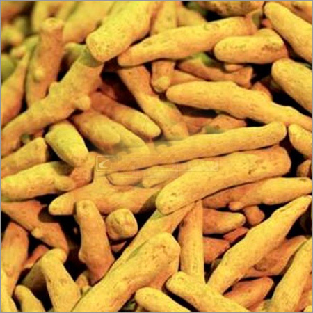 Turmeric Finger Turmeric Finger