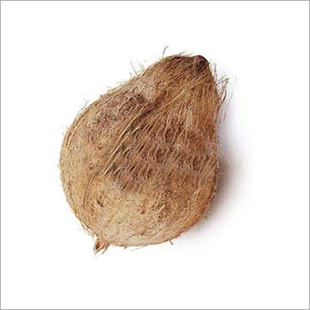 Semi Husked Coconut Semi Husked Coconut