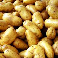 Fresh Potatoes Fresh Potatoes
