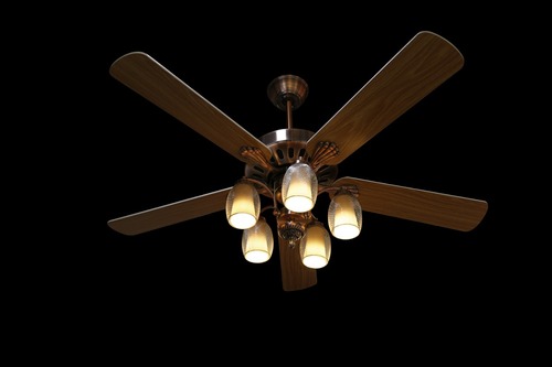 Designer Fans Designer Fans