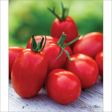 Tomato Seeds F1 Tomato Seeds F1