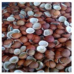 Coconut Copra Coconut Copra