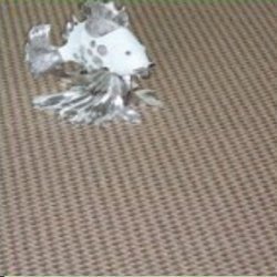 New Royal Guard Tufted Carpet New Royal Guard Tufted Carpet
