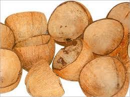 Coconut Shell Coconut Shell