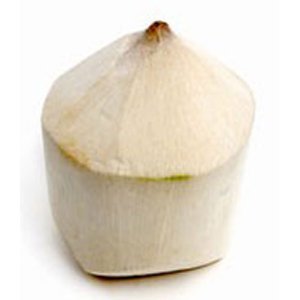 Trimmed Coconut Trimmed Coconut