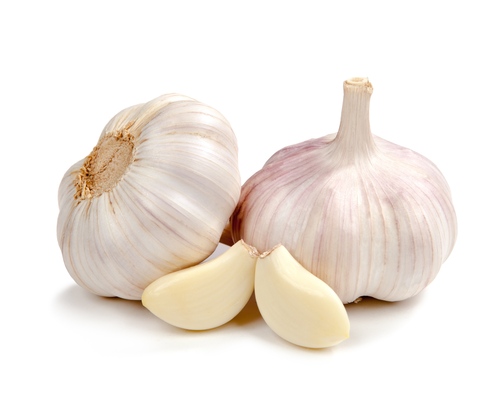 Garlic Bulbs Garlic Bulbs