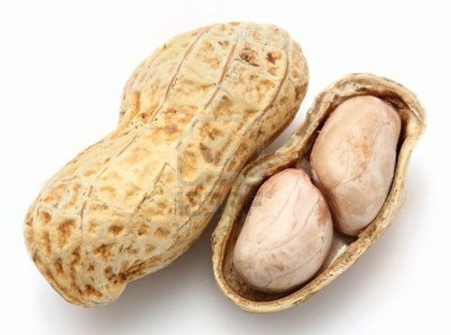 Ground Nuts Ground Nuts