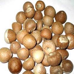 Betel Nuts Betel Nuts