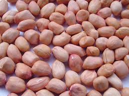 Ground Nuts Ground Nuts