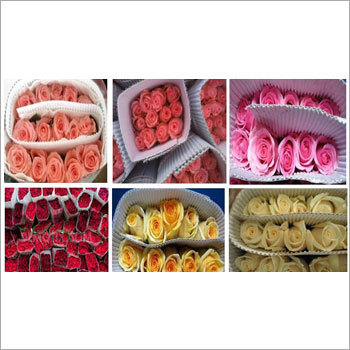 Fresh Cut Roses Fresh Cut Roses