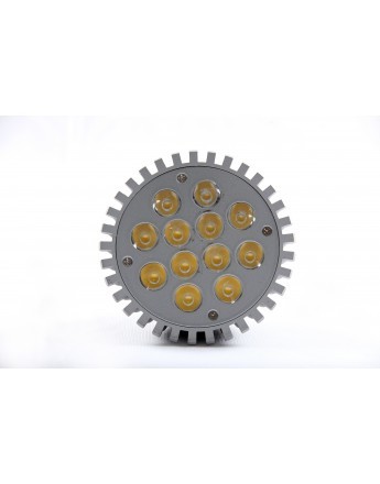 FortuneArrt 12 WATT LED Par Lamp FortuneArrt 12 WATT LED Par Lamp