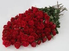 Fresh Cut Red Roses Fresh Cut Red Roses