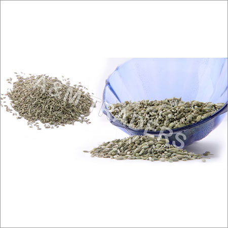 Fennel Seed Fennel Seed