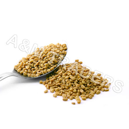 Fenugreek Seeds Fenugreek Seeds