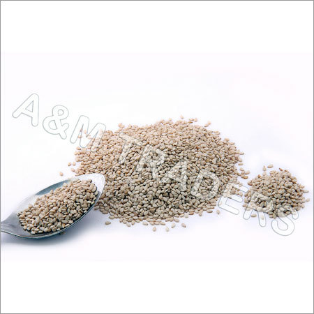 Seasame Seeds Seasame Seeds