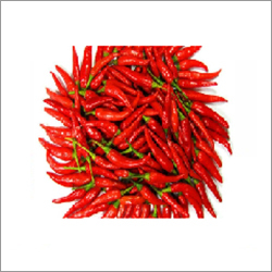 Fresh Chili Fresh Chili