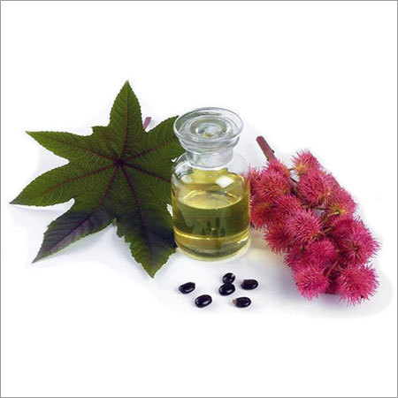 Castor Oil Castor Oil