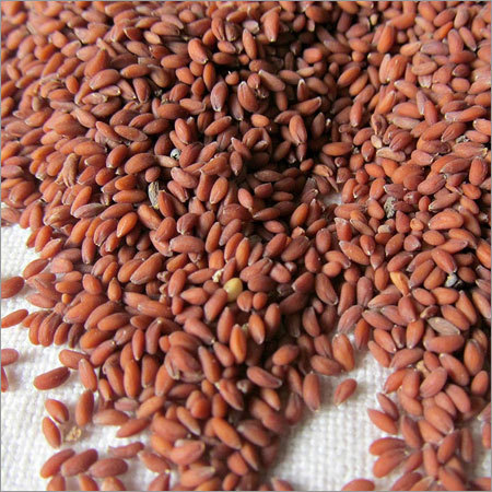 Chandrasoor Seed Chandrasoor Seed