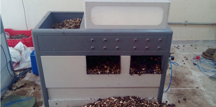Automatic Cashew Nut Cutting Machines Automatic Cashew Nut Cutting Machines