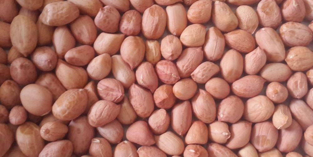 TJ Peanuts TJ Peanuts