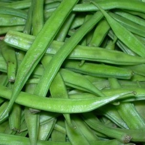 Hybrid Cluster Beans Hybrid Cluster Beans