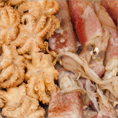 Food Grade Non Phosphate for Cephalopod Food Grade Non Phosphate for Cephalopod
