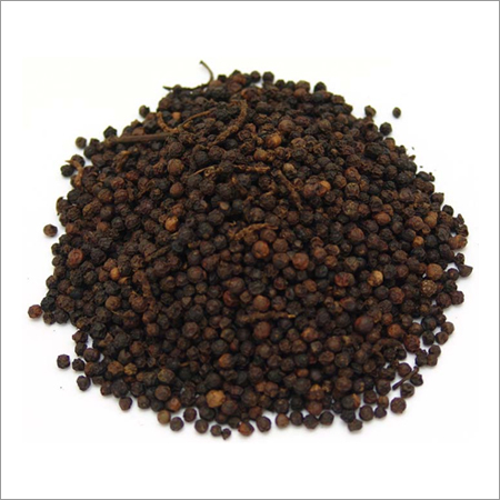 Black Pepper Seeds Black Pepper Seeds