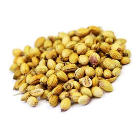 Coriander Seeds Coriander Seeds