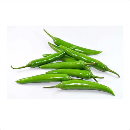 Fresh Green Chilli Fresh Green Chilli