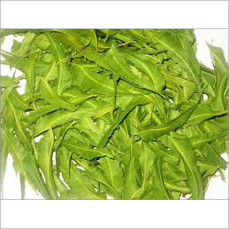 Neem Leaf Neem Leaf