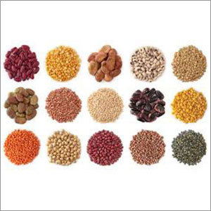 Indian Pulses Indian Pulses