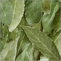 Turkish Bay Leaves Turkish Bay Leaves