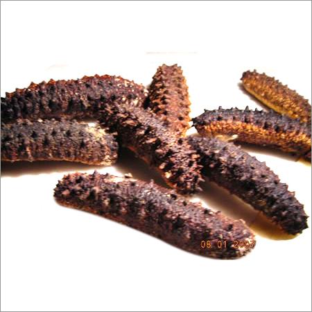 Dried Sea Cucumber Dried Sea Cucumber
