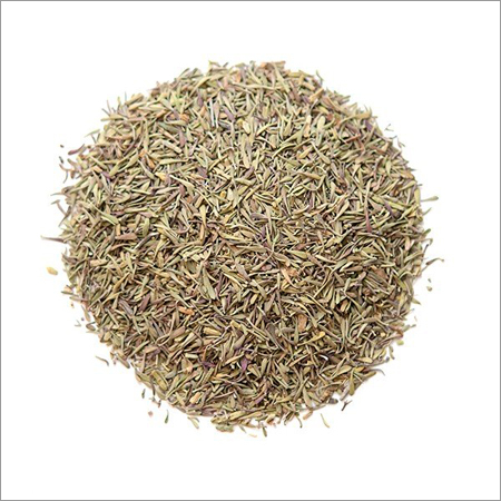 Turkey Thyme Leaves Turkey Thyme Leaves