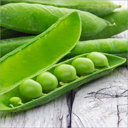 Snow Peas Snow Peas