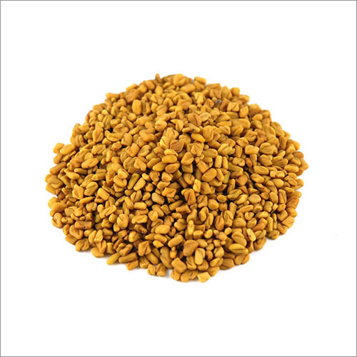 Fenugreek-Seeds Fenugreek-Seeds