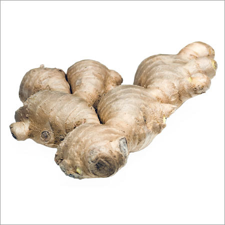 Organic Ginger Organic Ginger