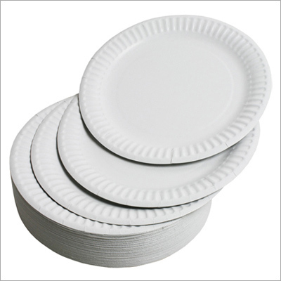 Paper Plate Paper Plate