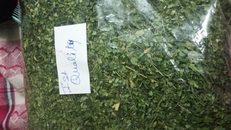Moringa Dry Leaf Moringa Dry Leaf